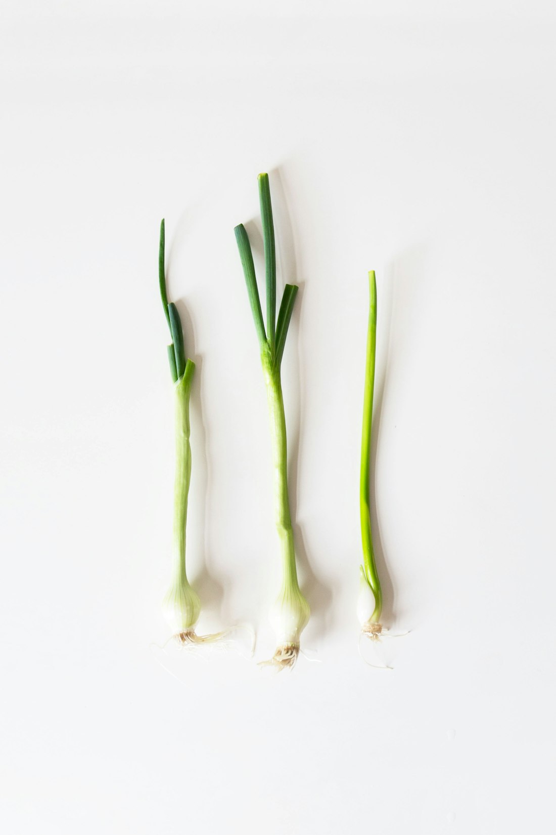Fresh lemongrass stalks — one of the non-negotiable aromatics for an authentic bowl